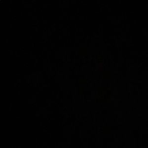 Meet your Posher, Ximena